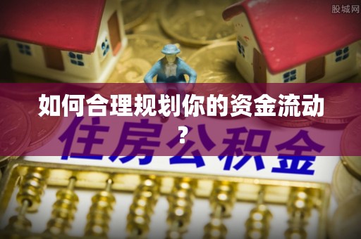 芦溪如何合理规划你的资金流动？
