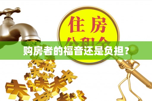 芦溪购房者的福音还是负担？