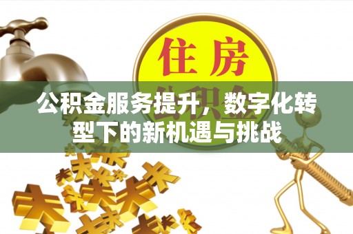 芦溪公积金服务提升，数字化转型下的新机遇与挑战