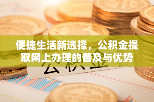 芦溪便捷生活新选择，公积金提取网上办理的普及与优势