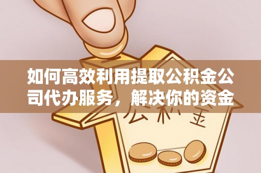 芦溪如何高效利用提取公积金公司代办服务，解决你的资金难题