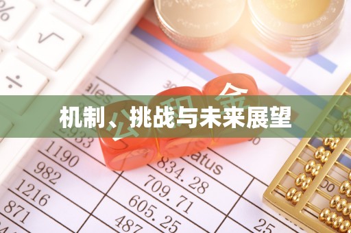 芦溪机制、挑战与未来展望